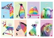 Pigna Animal Rainbow A/4 tztt 38 lapos kocks fzet